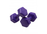 Гантель гексагональная, пластиковая 2 кг BaseFit DB-305 фиолетовый, 2 шт