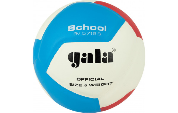 Мяч волейбольный Gala School 12 BV5715S р. 5 600_380