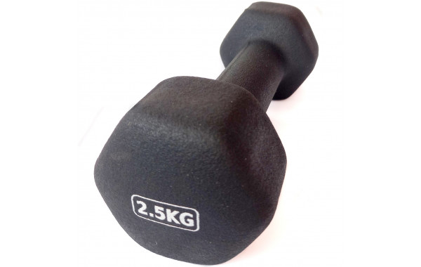 Гантель неопреновая 2,5 кг (черная) Sportex HKDB118-2.5 600_380