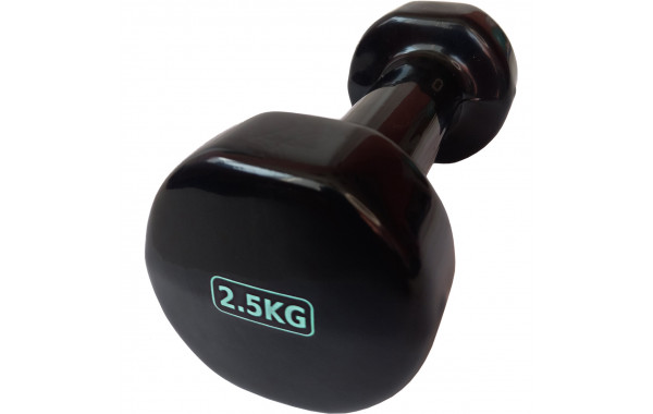 Гантель виниловая 2,5 кг (черная) Sportex HKDB115-2.5 600_380