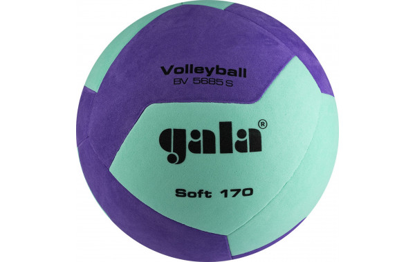 Мяч волейбольный Gala Soft 170, 12 BV5685SCF р.5 600_380