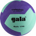 Мяч волейбольный Gala Soft 170, 12 BV5685SCF р.5 75_75