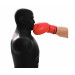 Манекен DFC Boxing Punching Man-Medium TLS-BB черный 75_75