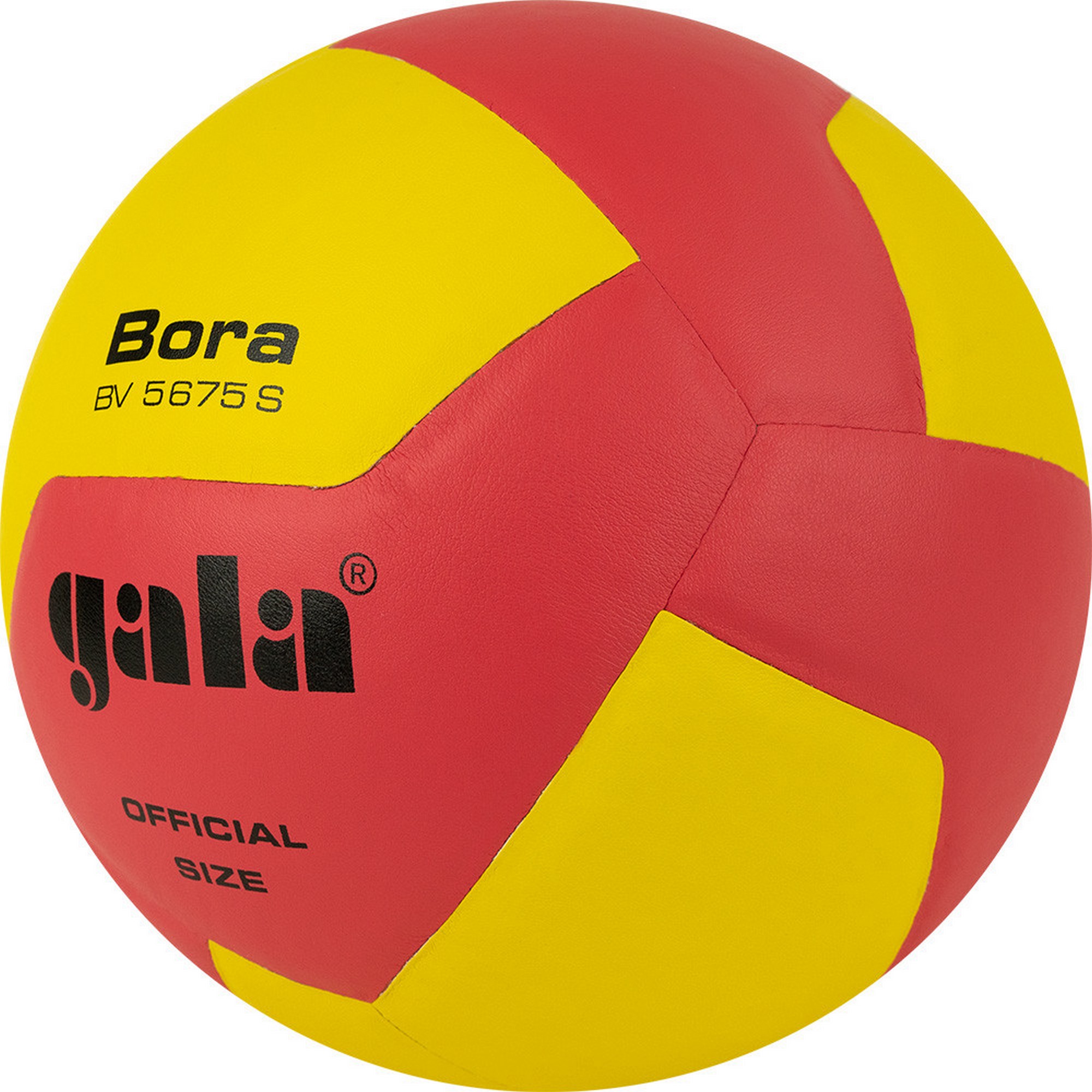 Мяч волейбольный Gala Bora 12 BV5675S р. 5 2000_2000
