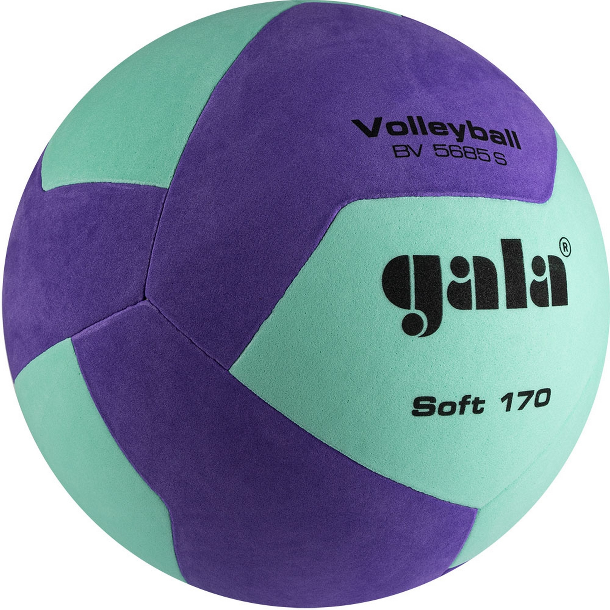 Мяч волейбольный Gala Soft 170, 12 BV5685SCF р.5 2000_2000