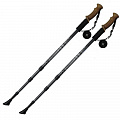 Палки для скандинавской ходьбы Sportex телескопическая, 3-х секционная F18439 черный 120_120