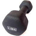 Гантель неопреновая 2,5 кг (черная) Sportex HKDB118-2.5 120_120
